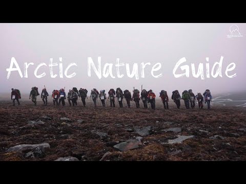 Studieren in der nördlichsten Stadt der Welt - Wandern auf Svalbard - ARCTIC NATURE GUIDE