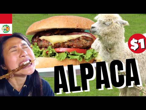 $1 BBQ ALPACA 🇵🇪🦙 Village Pizza & Alpaca burger Peruvian street food tour Ollantaytambo Cusco Peru