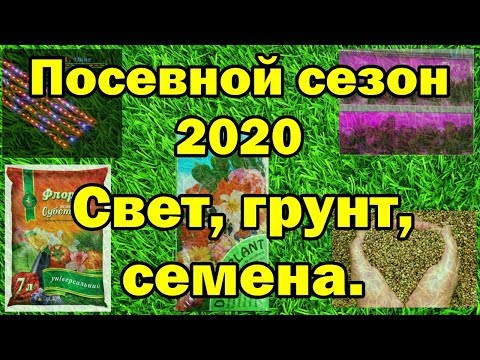 🌼🌱Посевной сезон 2020. Свет, грунт, семена.