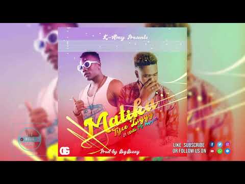 Tyce Zig ft. Willz – “Matika”  Official Audio 2019