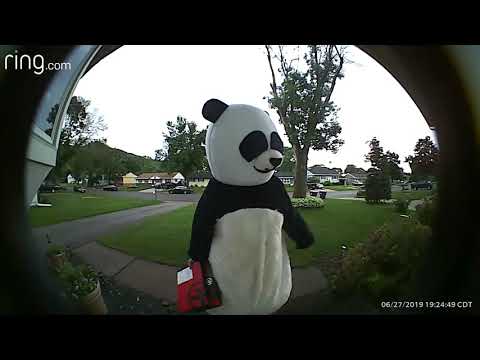Panda Delivers Hunt A Killer Package Pt. 3