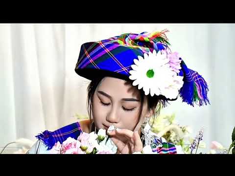 Paaj Ntaub Faaj Niam nkauj tab zag ( cover)