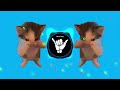 DJ KICAU KICAU MANIA REMIX ANGKATLAH TOPI MINAT MONGGO JAPRI VIRAL TIKTOK TERBARU 2026