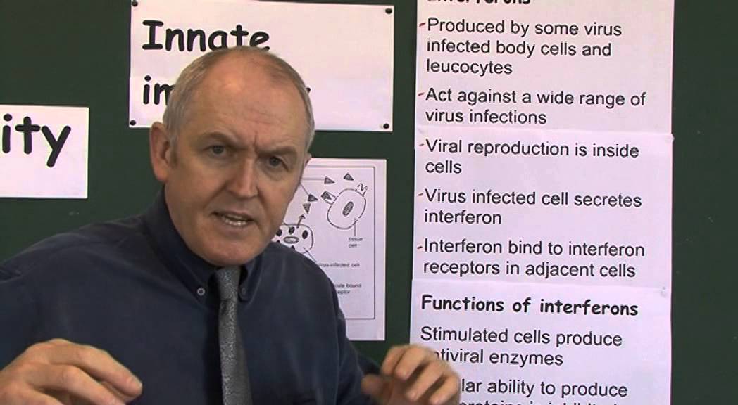 Immunity 6, Interferons, protection from viral infections - YouTube