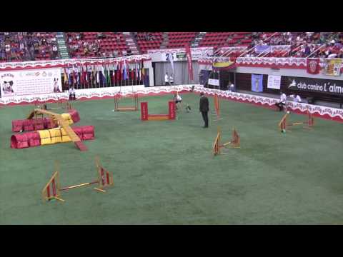 AWC 2016 with Eli Beate and Zelda