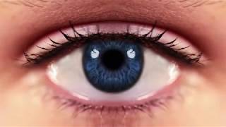 YOUNG &amp; SICK - BITTER END