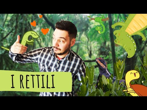 VERTEBRATES #3 - REPTILES - Science explained EASILY