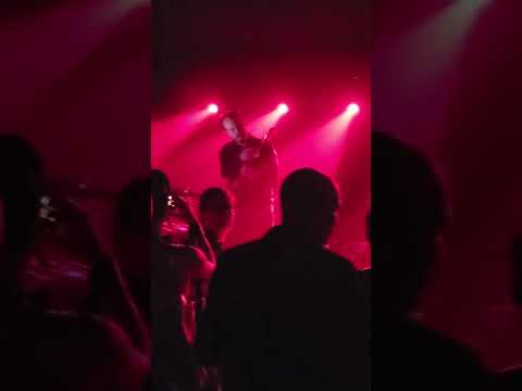 Dave Bats introduces HALLOWED HEARTS