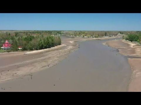 Wixom Lake becomes muddy field after dam failures
