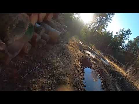 Stigpremiär med Dewalls