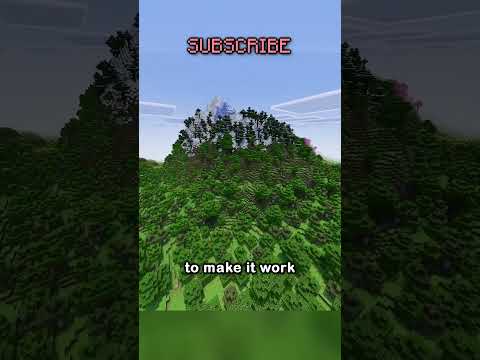 VIBRANT VISUALS IS HERE!