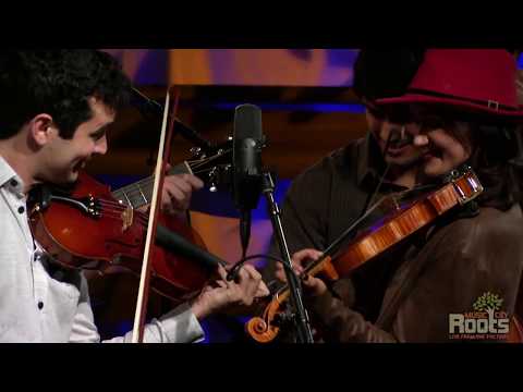Mike Barnett "Fiddle Patch"