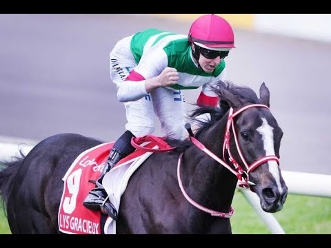 2019 SEVEN NEWS Report  - W S Cox Plate