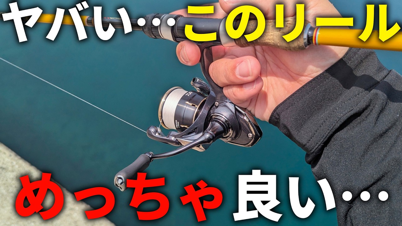 マジで良すぎる…。26フリームスで初エギングしたら、質感が値段以上でした。