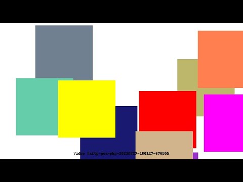 Video #sftp-gcs-pkg-20210727-160127-676555