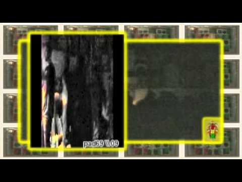 SLIMMAH SOUND ft jah melodie - we no wanne no more war \\ @ ndsm xxx \ fast fw pt2 \\ 25 -07-09