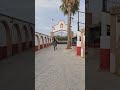 Ruin PRE Puur Ras Spaans Te koop 2021 Schimmel , ROMERO DE TRUJILLO