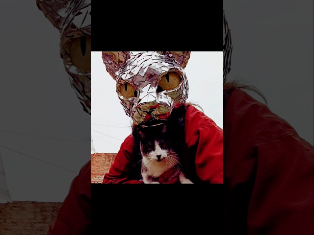 Vídeo relacionado con WIdlarms Máscara de plástico para adultos estilo DJ que cubre la mitad de la cara - Máscara de disfraz para Halloween, cosplay y fiestas (blanca)