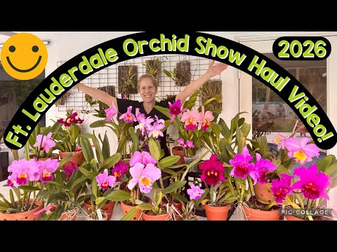 International Orchid Haul/ Ft. Lauderdale 2026/ Rare finds / wishlist item! 