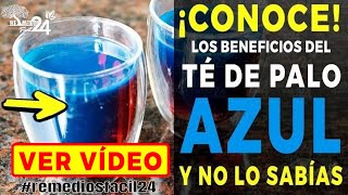 🔴✅PARA QUE SIRVE EL PALO AZUL: BENEFICIOS DE EL TE DE PALO AZUL PARA TU SALUD Y NO LO SABIAS