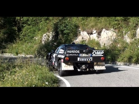 21° Rally Alpi Orientali Historic 2016 ps2 Masarolis VIDEO SI
