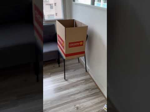 Po Fat Building Youtube Video