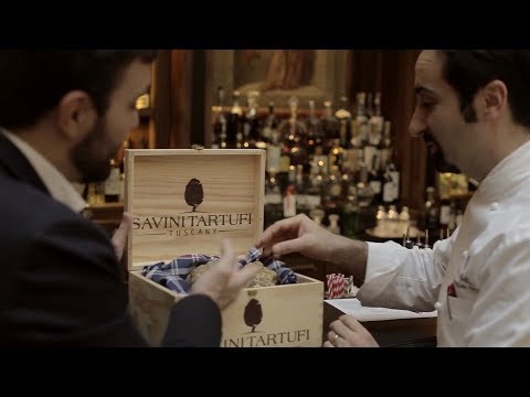 Savini Tartufi - Tartufai per Passione da Quattro Generazioni - Toscana Italia ( Italian )