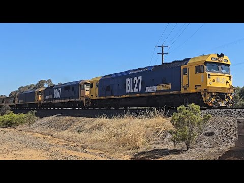 7731V PN down empty grain (BL27, 8167, BL31), Geelong to Marmalake, 1645, 14/1/25, Stawell East VIC