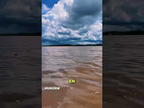 Así se ve Navegar por el Río Amazonas 😱🌿