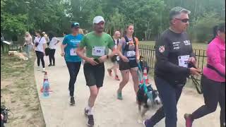 Wideo: Bieg na cztery apy w Parku Lenym w Lubinie