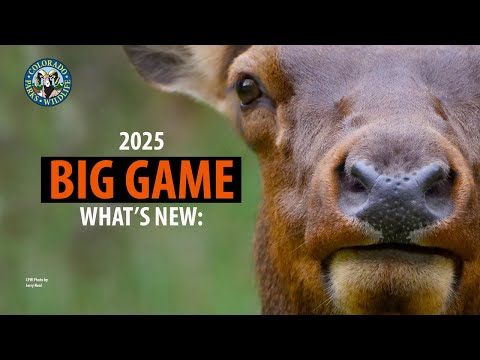 'What's New' 2025 Colorado Big-Game Hunting