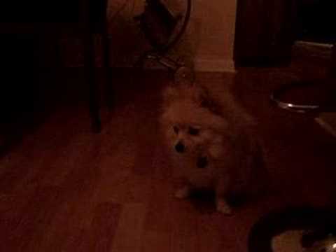 Duffy walking only on her hands