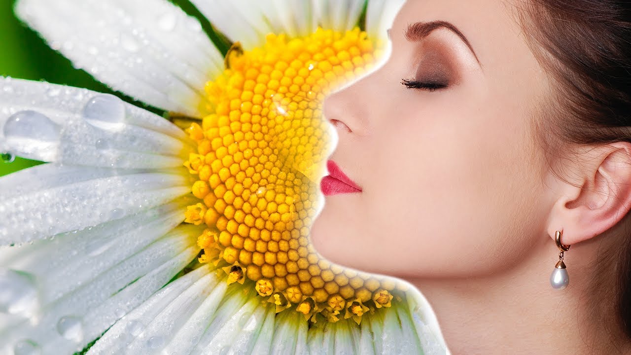 【風邪症状を緩和！】カモミールの効果効能。香りでリラックス、疲労回復効果も高い！