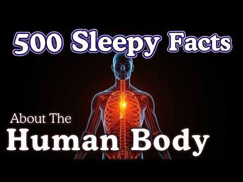 The Human Body — 10 Hours of Facts to Fall Asleep To — No Adverts