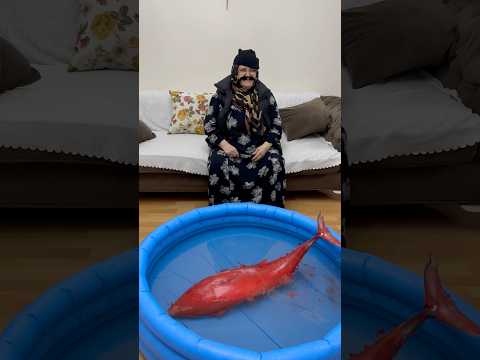 KIRMIZI BALIK GÖLDE! #hayriyeanane #shorts