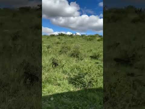 TERRENO 2100 m² - CERRO COLORADO, CÓRDOBA