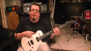 Pennywise Bro Hymn Guitar Lesson + Tutorial