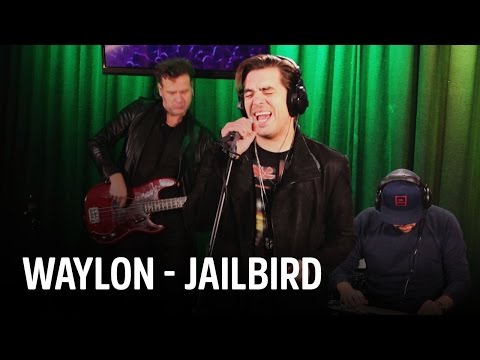 Waylon - Jailbird | Live bij Evers Staat Op