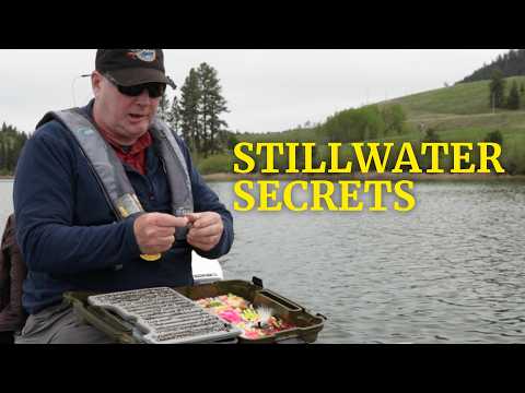 How To Read A Lake To Catch More Fish | Fly Fishing Tips That Work Anywhere