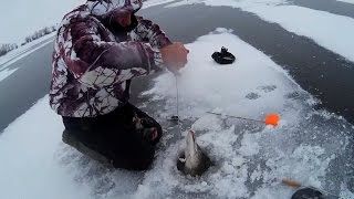 Какая погода хороша для ловли щуки зимой