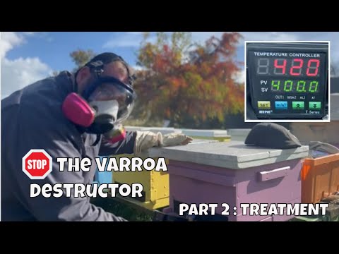 , title : 'Stop 🛑 the Varroa Destructor : PART 2 | Beekeeping 101'