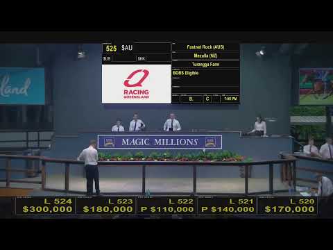 2020 Gold Coast Yearling Sale Day 2