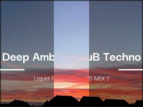 Deep Ambient DuB Techno - Liquid Fraction - 2026 MIX 1.