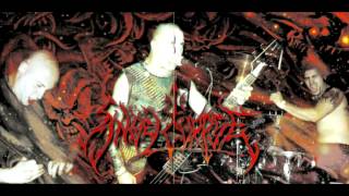 Angelcorpse-desecration of virgin(SARCOFAGO cover)