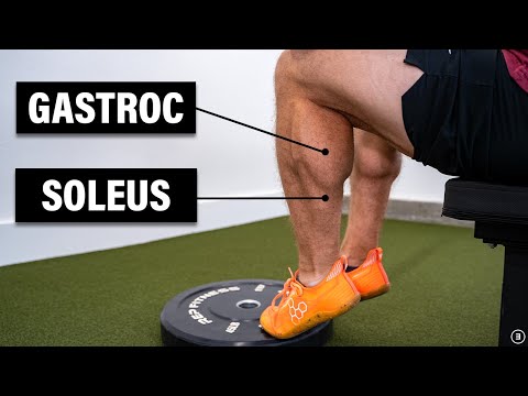Calf Muscle Strain Injury (Best Exercises for Rehab and How to Return to Running)