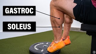 Calf Muscle Strain Injury (Best Exercises for Rehab and How to Return to Running)
