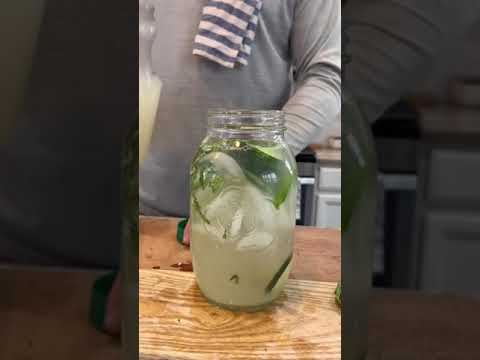 Samurai Sling Drink Recipe 🍋