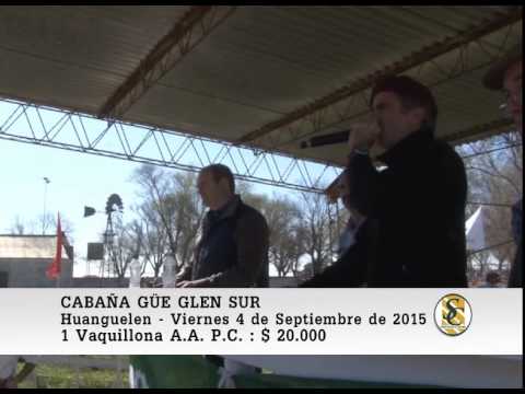 04-09-15 Venta de Vaquillonas P.P. - Cabaña Güe-Glen Sur - Huanguelen.