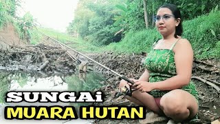 Download lagu Mancing di sungai muara hutan alam pedesaan di temani udara yang sejuk mp3 Download lagu Mancing di sungai muara hutan alam pedesaan di temani udara yang sejuk mp3