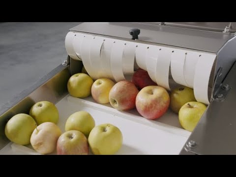 Fruit juice production I SRAML VP26i HL Smartpress